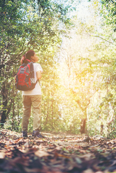 Aktive junge Wanderin wandert durch den Wald und genießt die Natur.  - Foto, Bild