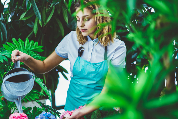 Young female owner of botanic orangery taking care of plants by herself looking at beautiful blossom,caucasian woman in apron working at greenhouse watering blooming flowers enjoying occupation  - Foto, imagen