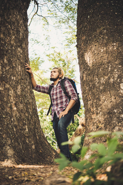 Hombre excursionista mirando a un lado caminando en el bosque. Senderismo aventura con la naturaleza
. - Foto, imagen