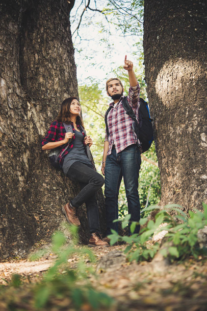 Hiker couple walking among trees. Travel concept. - Photo, Image