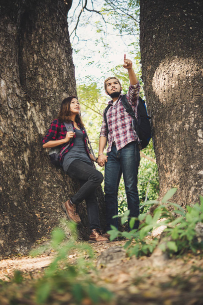Пара туристов гуляет среди деревьев. Концепция путешествия
. - Фото, изображение
