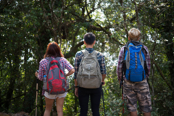 Gros plan d'amis randonneurs debout avec des sacs à dos dans les bois de dos
 - Photo, image