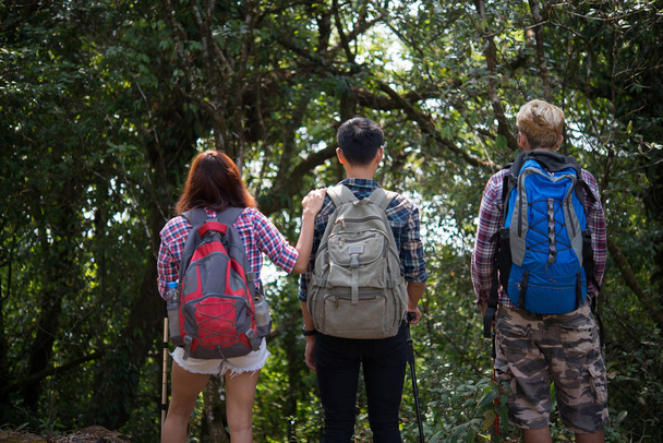 Close up of hikers friends standing with backpacks in woods from back - Photo, Image