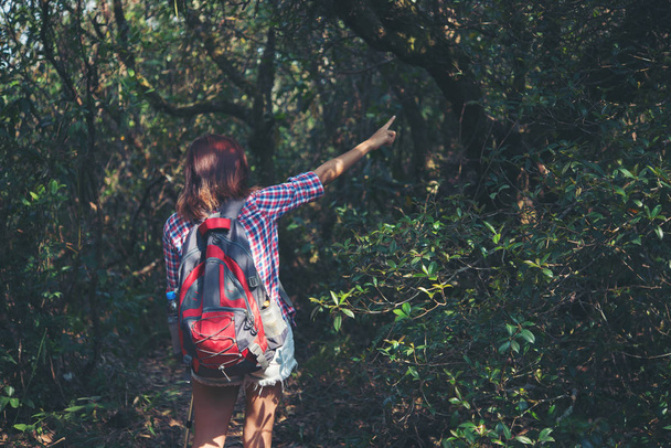 Fiatal csípő nő természetjáró élvezi a vadon élő hegyi erdő tájak. - Fotó, kép