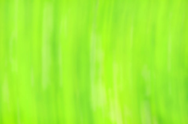 Боке-зеленый фон
 - Фото, изображение