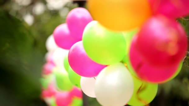 Kleurrijke ballonnen. verschillende kleurrijke feestelijke ballonnen vastgemaakt samen. - Video
