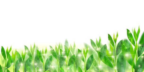 Zöld tea tavaszi zöld háttér - Vektor, kép