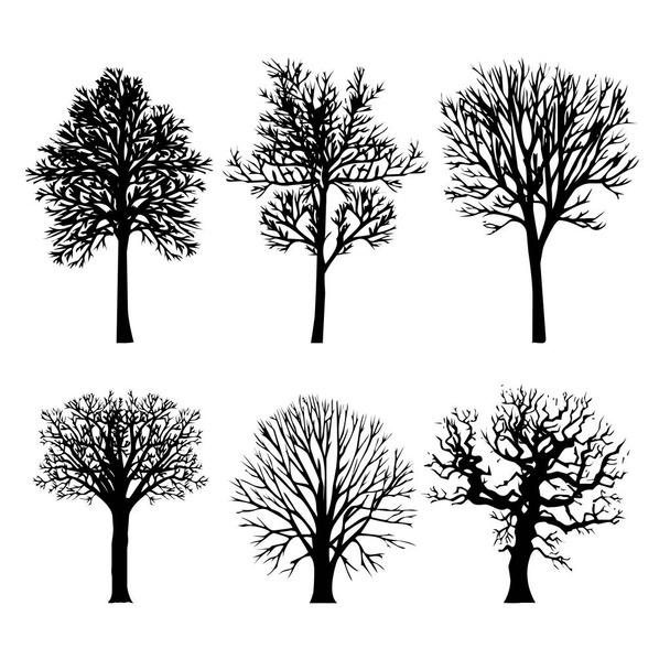 Δέντρο υποκατάστημα άγονες Μέλανα Δρυμό φύση σιλουέτες Vector εικονογράφηση - Διάνυσμα, εικόνα