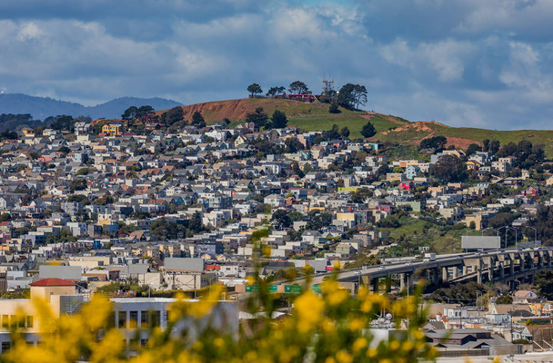 San Francisco skyline panorama with blooming flowers in the fore - Photo, Image