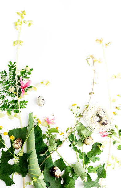 Top view flat lay partly isolated camomile flowers and leaves with quail eggs in paper nest mock up. Easter concept. Text space - Foto, Imagem