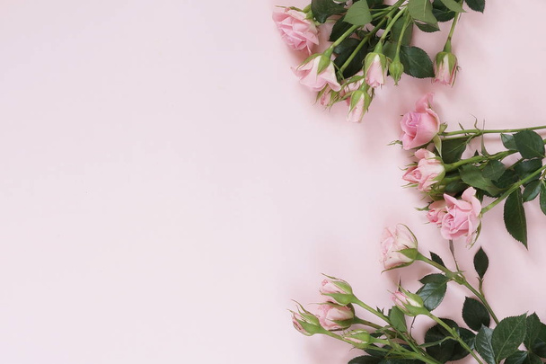 schöner Strauß sanft rosa Rosen auf blassrosa Hintergrund. Nahaufnahme. Kopierraum von oben - Foto, Bild
