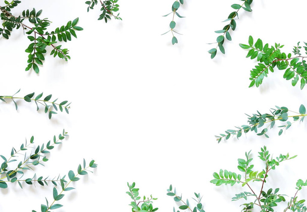 Leaf pattern frame. Green tropical leaves on white background. Flat lay, top view, copy space - Photo, image