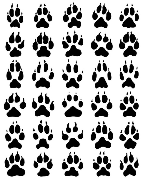 Black print of dogs paws on white background, vector - Vector, Image