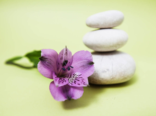 Zen meditaatio kylpylä elämäntapa
 - Valokuva, kuva