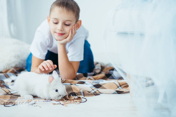 Close-up shot of the cute small fluffy rabbit at the blurred background of the little blond boy lying on the plaid. - Valokuva, kuva