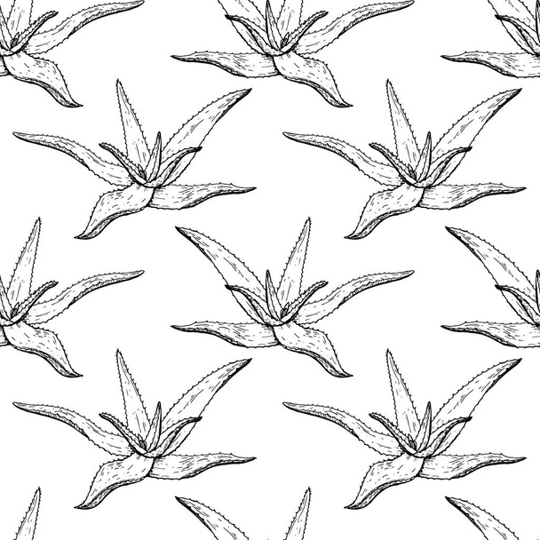 Cactus seamless vector pattern. - Vetor, Imagem