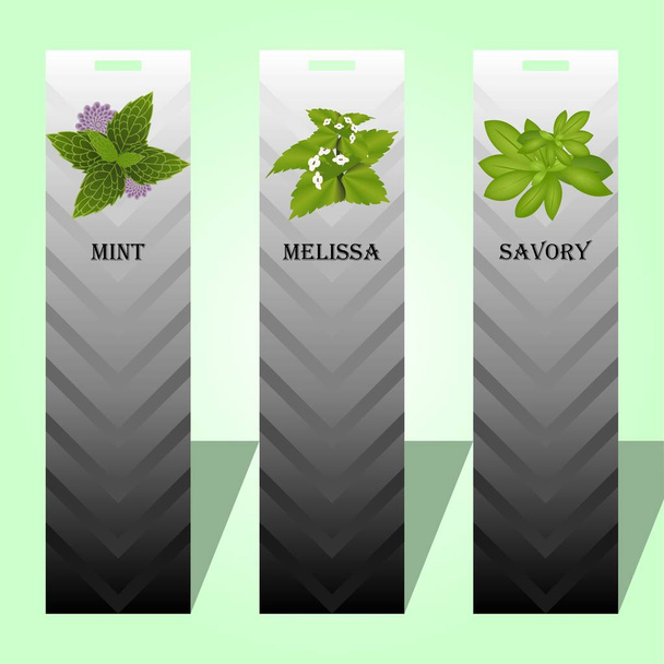 Longue étiquette avec trois herbes épicées
 - Vecteur, image