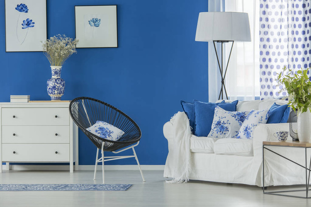 Blue and white living room - 写真・画像