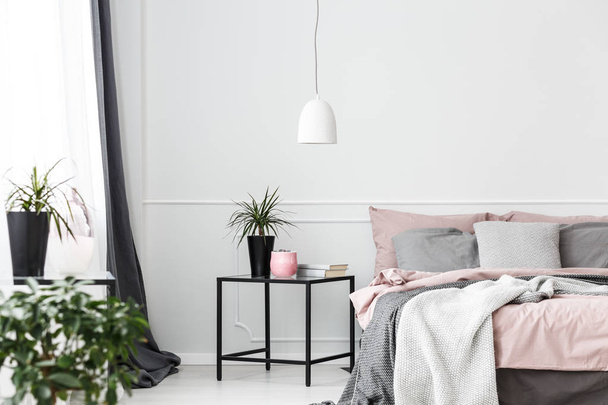 Plant in cozy bedroom interior - Φωτογραφία, εικόνα