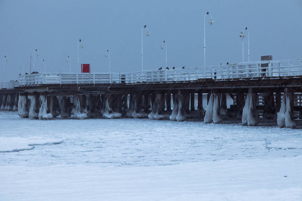 Sopot pier v zimní krajině - Fotografie, Obrázek