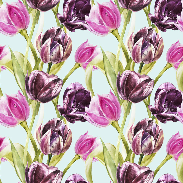 Flowers of Tulips. Watercolor hand drawn botanical illustration of flowers. Seamless pattern. - Foto, afbeelding