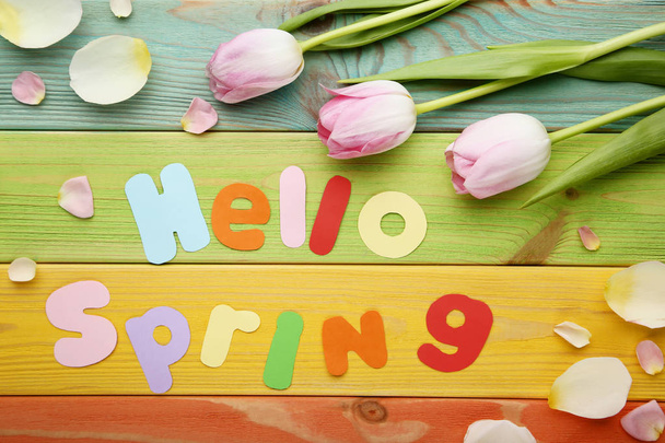 Inscription Hello Spring with tulip flowers on colorful wooden table - 写真・画像