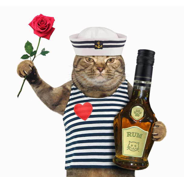 Rose ve ROM ile kedi denizci - Fotoğraf, Görsel