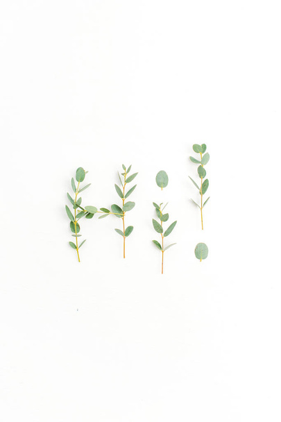 Palabra Hola hecha de rama de eucalipto sobre fondo blanco. Piso tendido, vista superior
. - Foto, Imagen