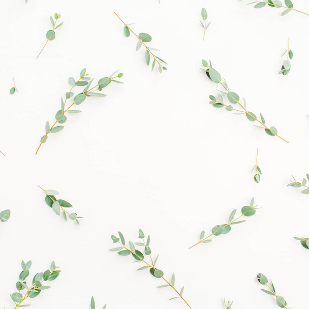 Frame of eucalyptus branches pattern with space for text on white background. Flat lay, top view hero header concept. - Fotografie, Obrázek