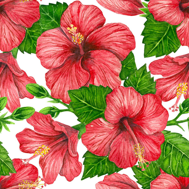 Hibiscus flowers watercolor pattern - Foto, Imagen