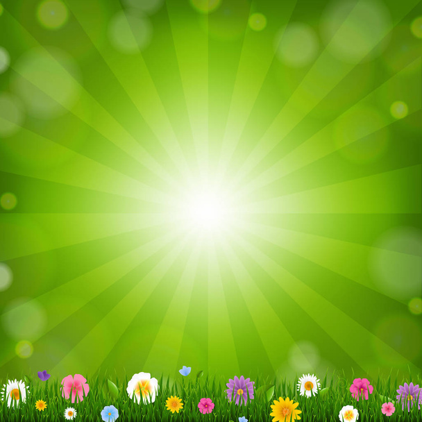 Grass With Sunburst Background With Gradient Mesh, Vector Illustration - Вектор,изображение