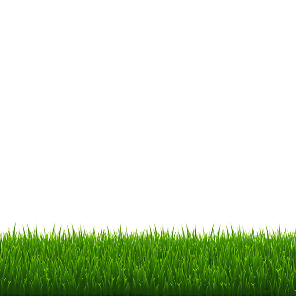 Green Grass Border, Vector Illustration - Vector, afbeelding