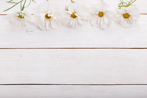 Un mazzo di fiori bianchi cosmea o cosmo con nastro su tavole bianche. Giardino fiori gialli su sfondo tavolo in legno fatto a mano. Sullo sfondo con spazio di copia
. - Foto, immagini