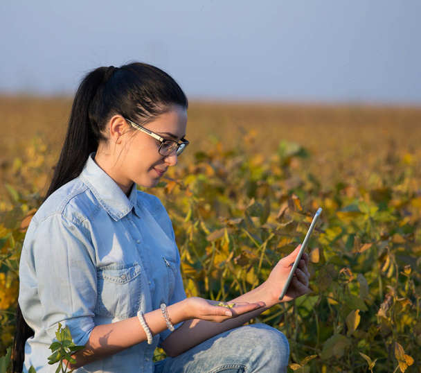 Agronomiste avec comprimé dans le champ de soja
 - Photo, image