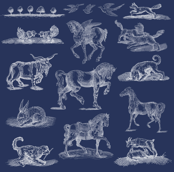 Animals set illustration - Foto, afbeelding