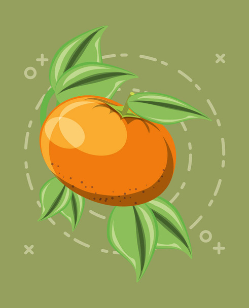 citroenzuur vruchten ontwerp - Vector, afbeelding