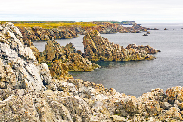 Zerklüftete Felsen an der Küste Neufundlands - Foto, Bild
