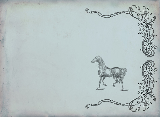 Horse illustration - Фото, изображение
