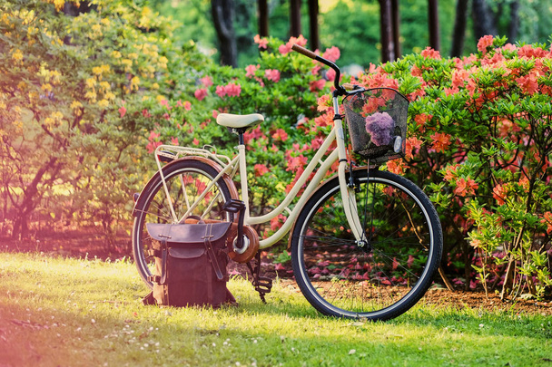 A bicycle and handbag stand on the green lawn against flowers. - Foto, Imagem