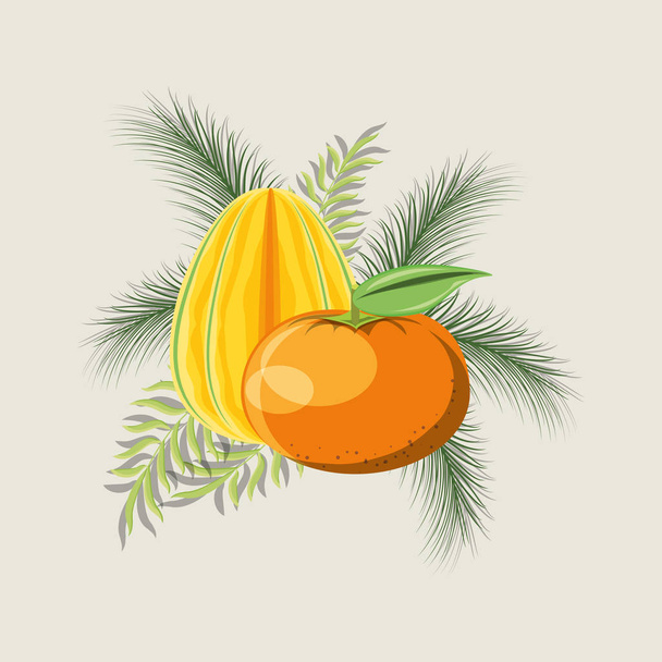 Zitrusfrüchte-Design - Vektor, Bild
