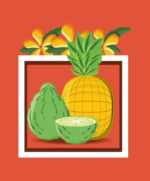 Zitrusfrüchte-Design - Vektor, Bild