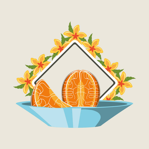 citroenzuur vruchten ontwerp - Vector, afbeelding