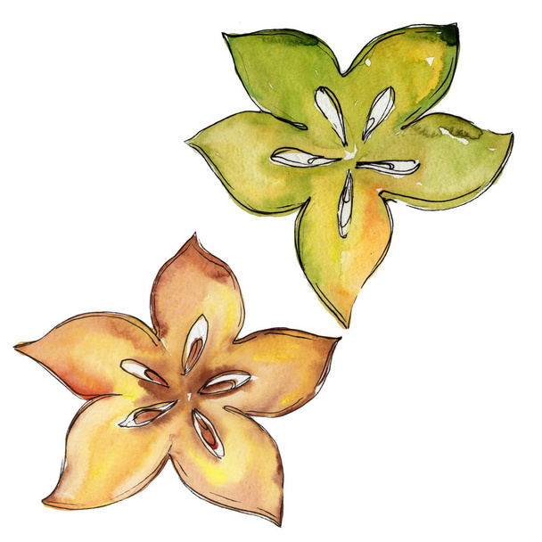 Exotic carambola wild fruit in a watercolor style isolated. - Fotografie, Obrázek