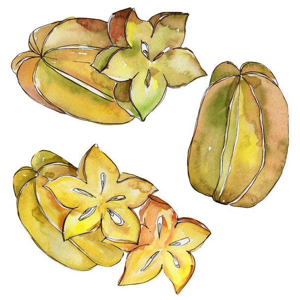 Eksoottiset karambola luonnonvaraisten hedelmien akvarelli tyyli eristetty
. - Valokuva, kuva