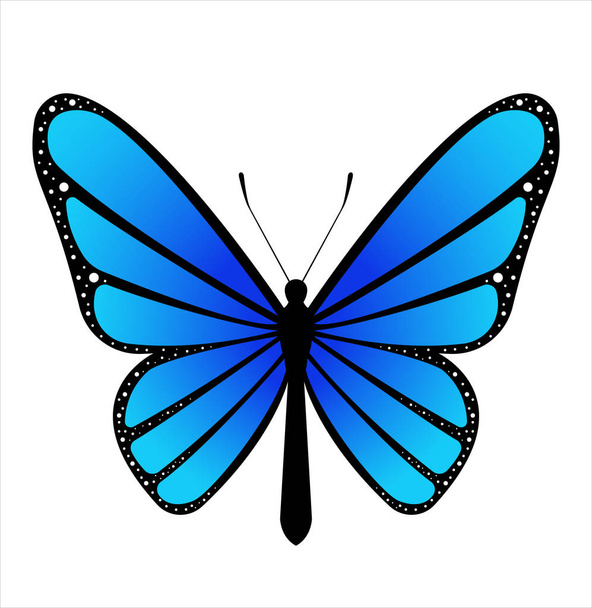Papillon coloré. Illustration vectorielle
 - Vecteur, image