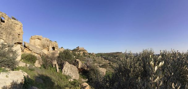 Italy, Sicily, Agrigento, Greek Temples Valley, Juno Temple (480-420 b.C.) in the background - Φωτογραφία, εικόνα