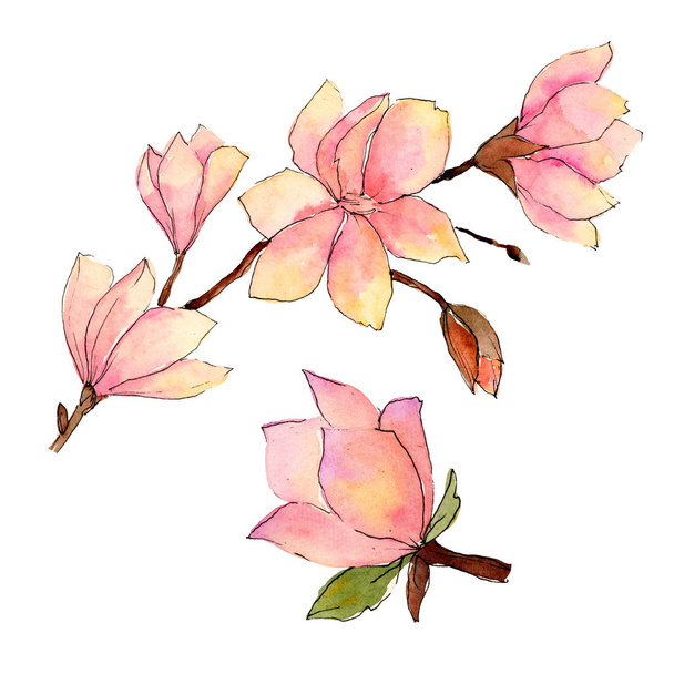 Wildflower magnolia flower in a watercolor style isolated. - Фото, изображение