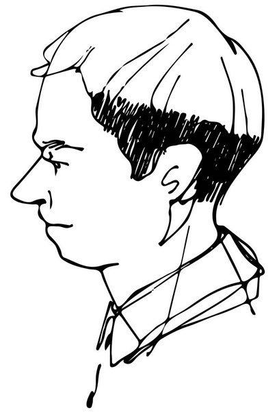 vector sketch of a beautiful man profile - Vector, Image