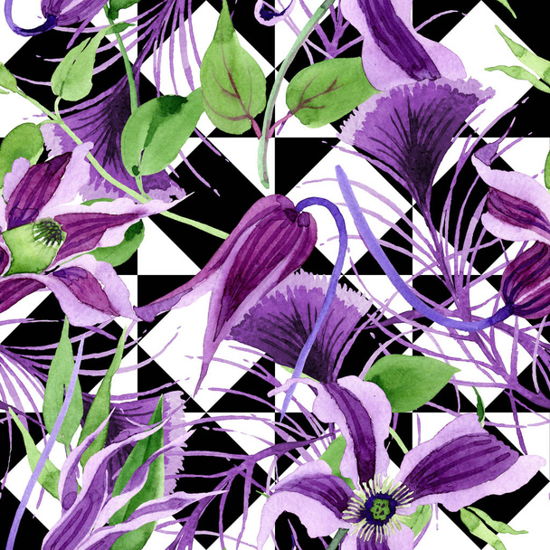 Wildflower clematis hanajima flower pattern in a watercolor style. - Фото, изображение