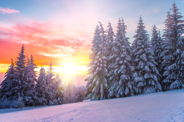 Téli táj egy naplemente. Bulgária - Fotó, kép